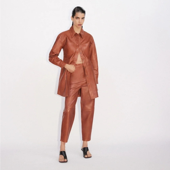 NWT Zara Limited Edition Leather Shirt Dress Small - Picture 2 of 13